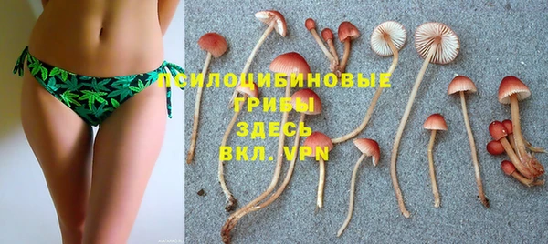 MDMA Premium VHQ Аркадак