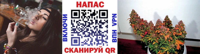 Конопля White Widow  Балабаново 